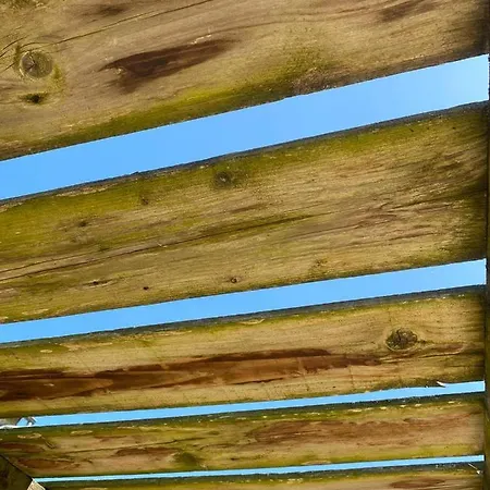 Frühstückspension Le Manoir De Gatines Tigné