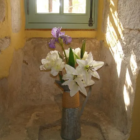 לינה וארוחת בוקר Le Manoir De Gatines
